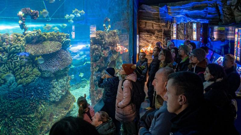 Újabb jelentős elismeréssel gazdagodott a Nyíregyházi Állatpark!
