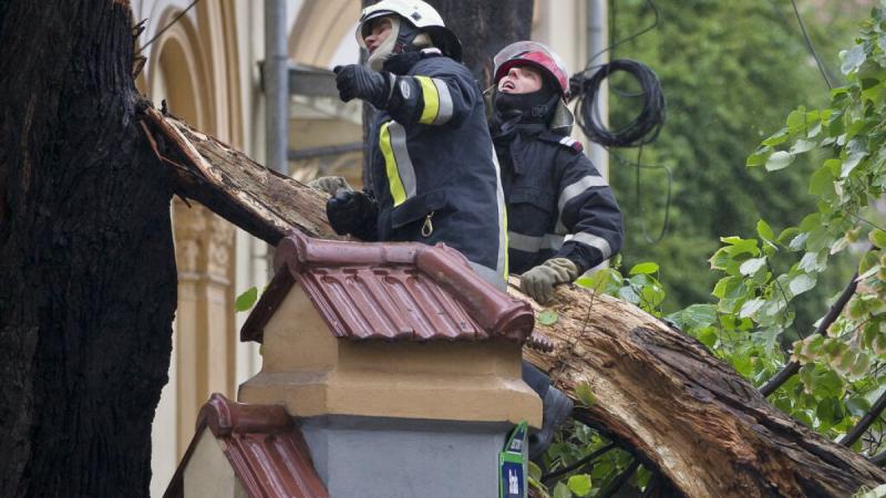 Egy szomorú baleset történt Romániában a szombati vihar során, amikor egy kidőlő fa tragikus módon életet oltott ki egy tájfutó számára.