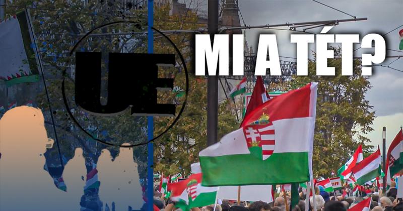 Ez alkalommal feltérképezzük az erőviszonyokat: október 23-án fideszes politikai szereplőket és tisztségviselőket kérdeztünk.